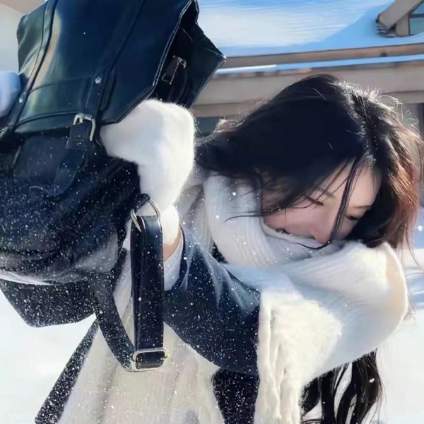 大毛狗海报