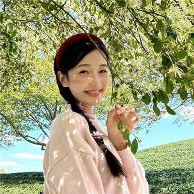 南小薄孔菌属海报